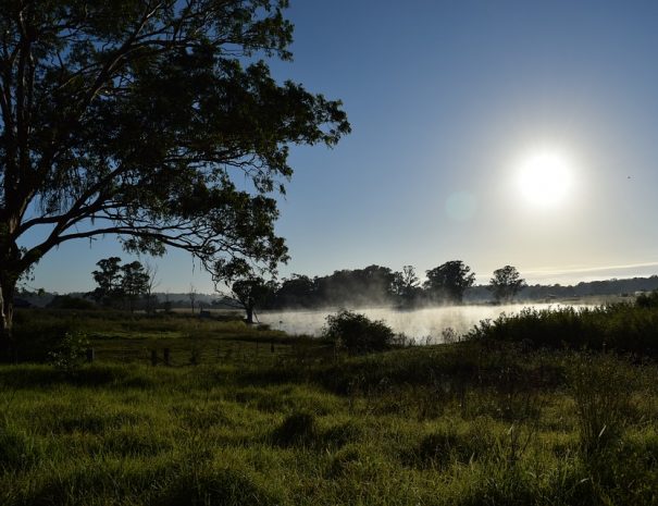 sunrise-1498117_960_720